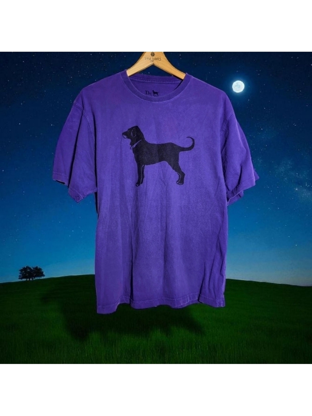 Purple The Black Dog Martha's Vineyard M T-Shirt